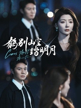 鹤别山空踏明月