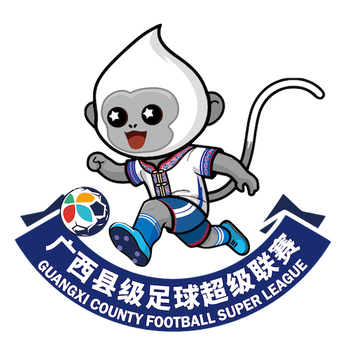 广西县超防城港市东兴市队2-0钦州市钦北区队20260419