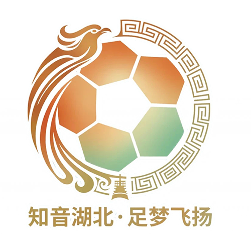 湖北省城市足球联赛潜江龙虾队VS鄂州临空队20260425